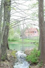 the english farm.jpg